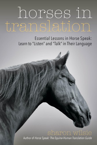Horses translation - in,